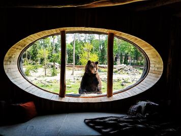 El hotel dentro de un zoológico donde no tendrás privacidad