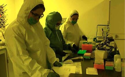 Biosensor de la UNAM para detectar Covid-19, diseñado para ser accesible en lugares remotos