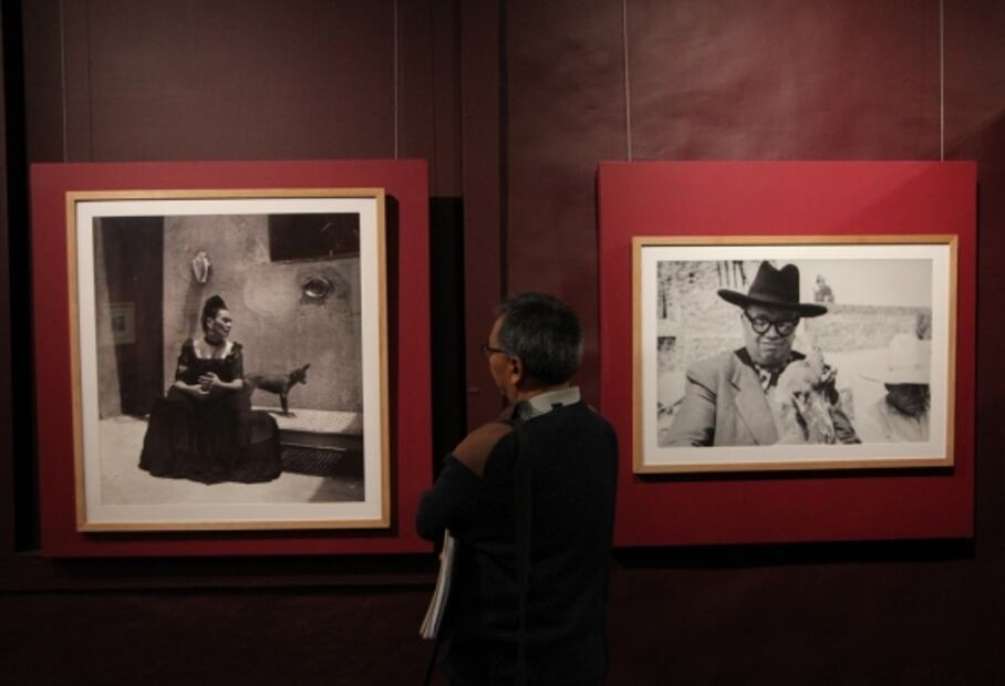 Xoloitzcuintle, de perro perseguido por la Iglesia a ícono de México