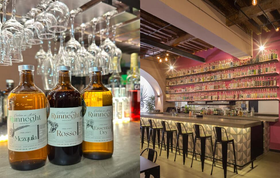 Fotos: Miel de Agave