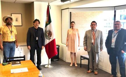 Migrantes en EU buscan proponer a AMLO un programa de generación de empleos