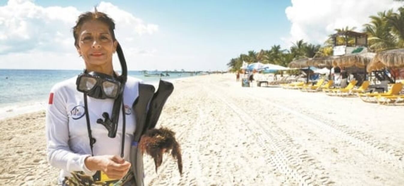 Sargazo. Su paso ahoga hábitat del sistema arrecifal