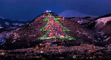5 de los árboles de Navidad más impresionantes del mundo