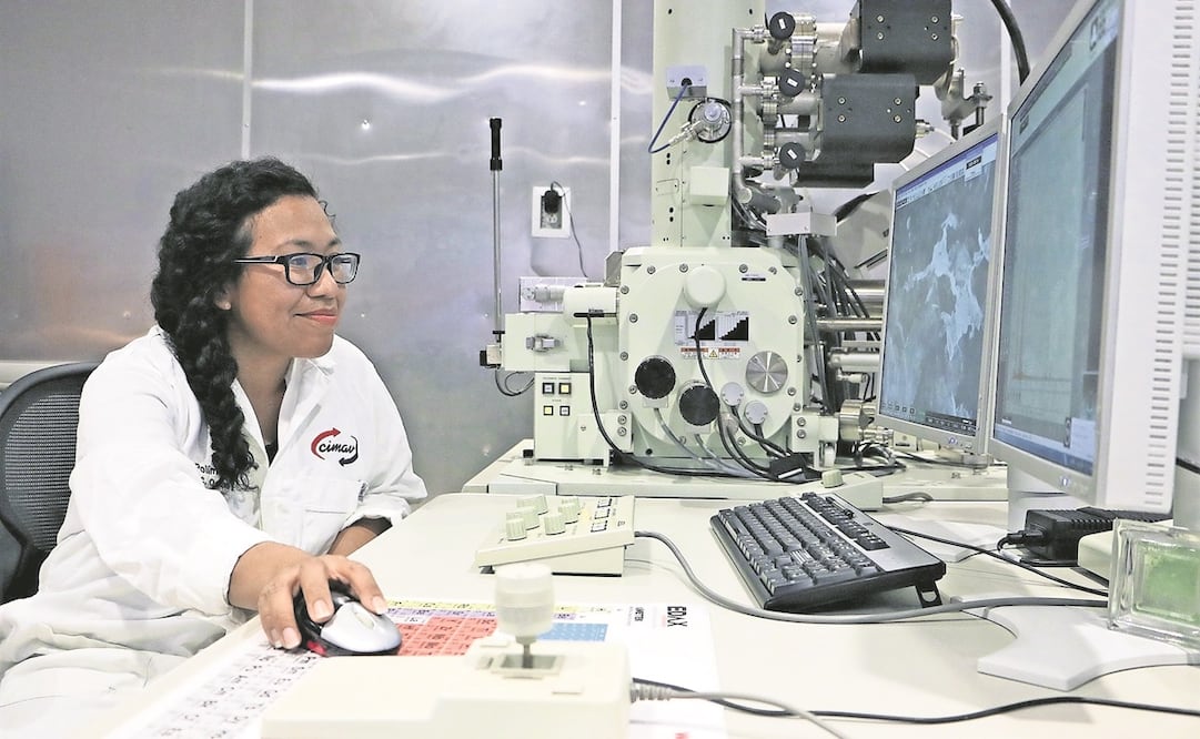 Foto: EFE/Conacyt, archivo