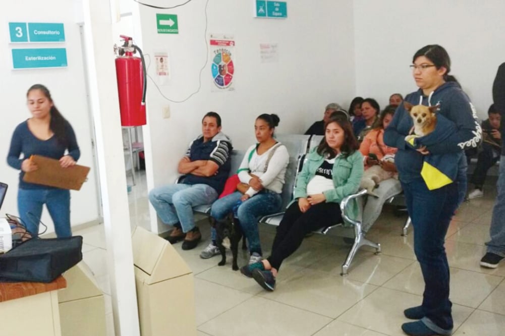 El hospital veterinario ofrece estudios clínicos, rayos x y operaciones de m a n e ra gratuita. En el lugar laboran 5 veterinarios, 8 pasantes y 2 enfermeras (REBECA JIMÉNEZ. EL UNIVERSAL)