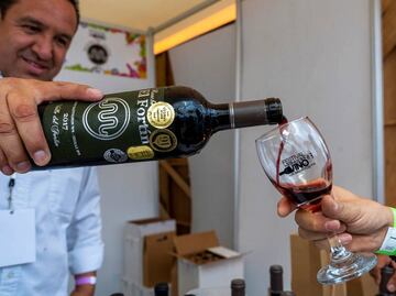 Lánzate al Festival Internacional del Vino en San Luis Potosí
