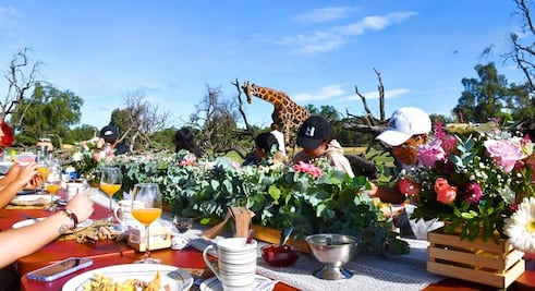 Desayuno en Reino Animal para convivir con más de 30 especies
