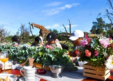 Desayuno en Reino Animal para convivir con más de 30 especies