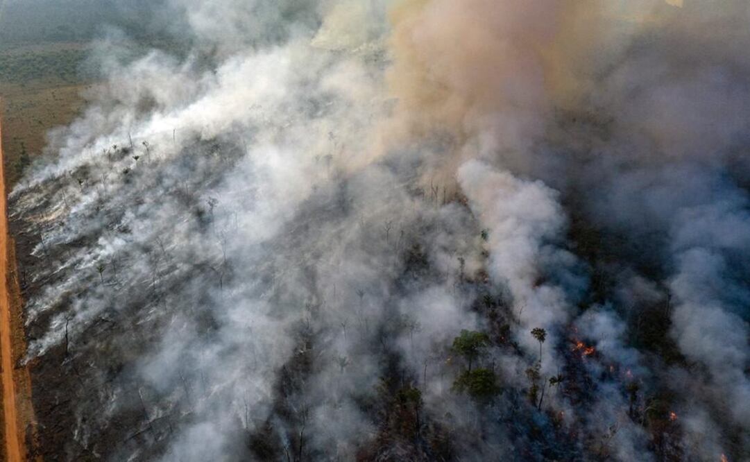 Múltiples incendios devoran secciones de bosque que han sido talados para paso de ganados o cultivos (Foto: Reuters)