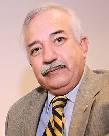 ¿Quién protege al cónsul?