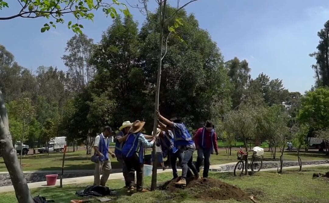 Foto: Tomada de video