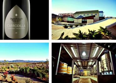 Mexican Wine Is Sustainable