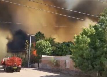 Sonora: fuerte incendio forestal arrasa con vegetación silvestre en El Tular, Guaymas