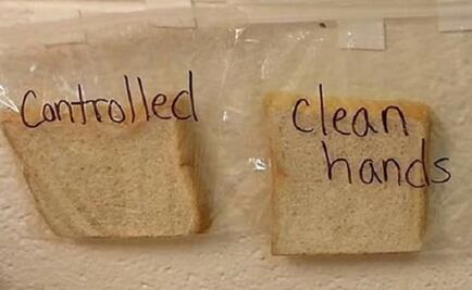 Con experimento buscan concientizar a los niños sobre la importancia de lavarse las manos