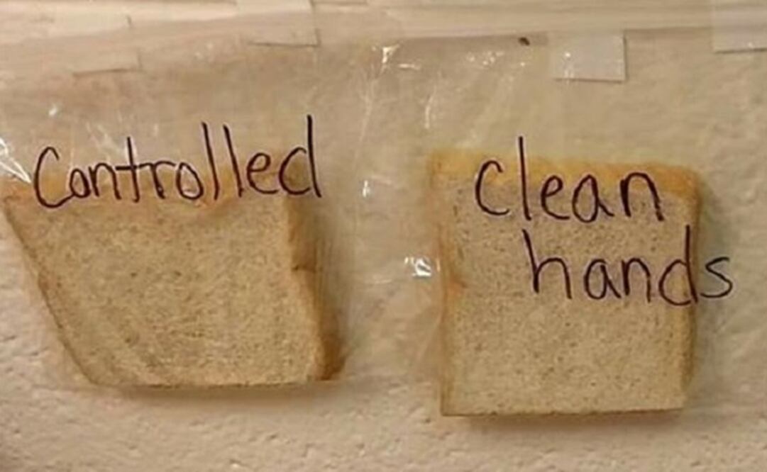 (FOTO: Tomada de Facebook)