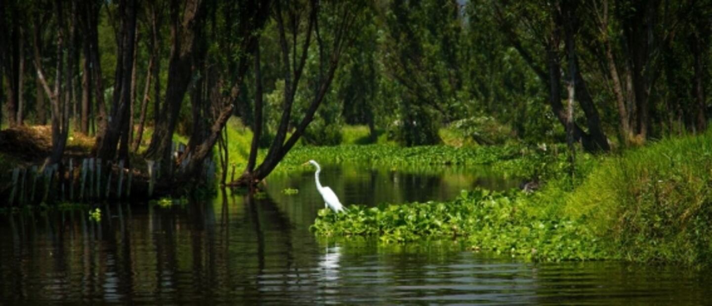 11 planes increíbles para pasar el 15 y 16 de septiembre 