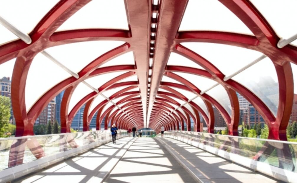 ¿Cuánto dinero puedes llevar en un vuelo internacional sin declarar?