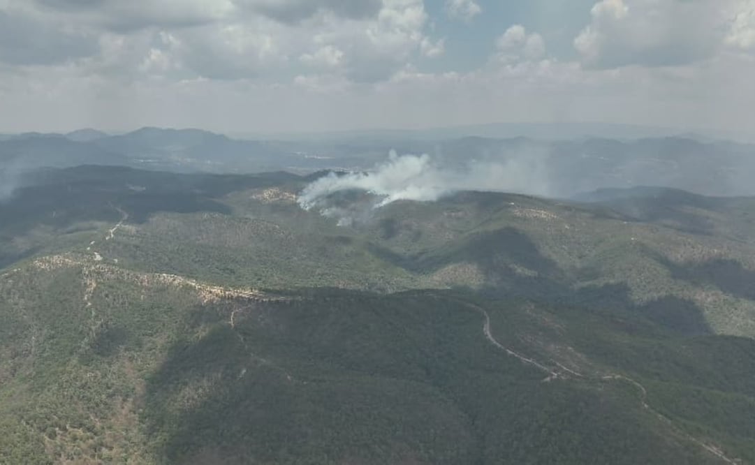 Incendio forestal en San Juan Mixtepec, Oaxaca lleva 2 días activo (13/05/2025). Foto: Especial
