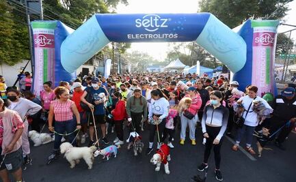 Así se llevó a cabo el Segundo Maratón Canino en Coyoacán