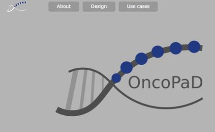 Nueva tecnología web ayuda a detectar mutaciones cancerígenas