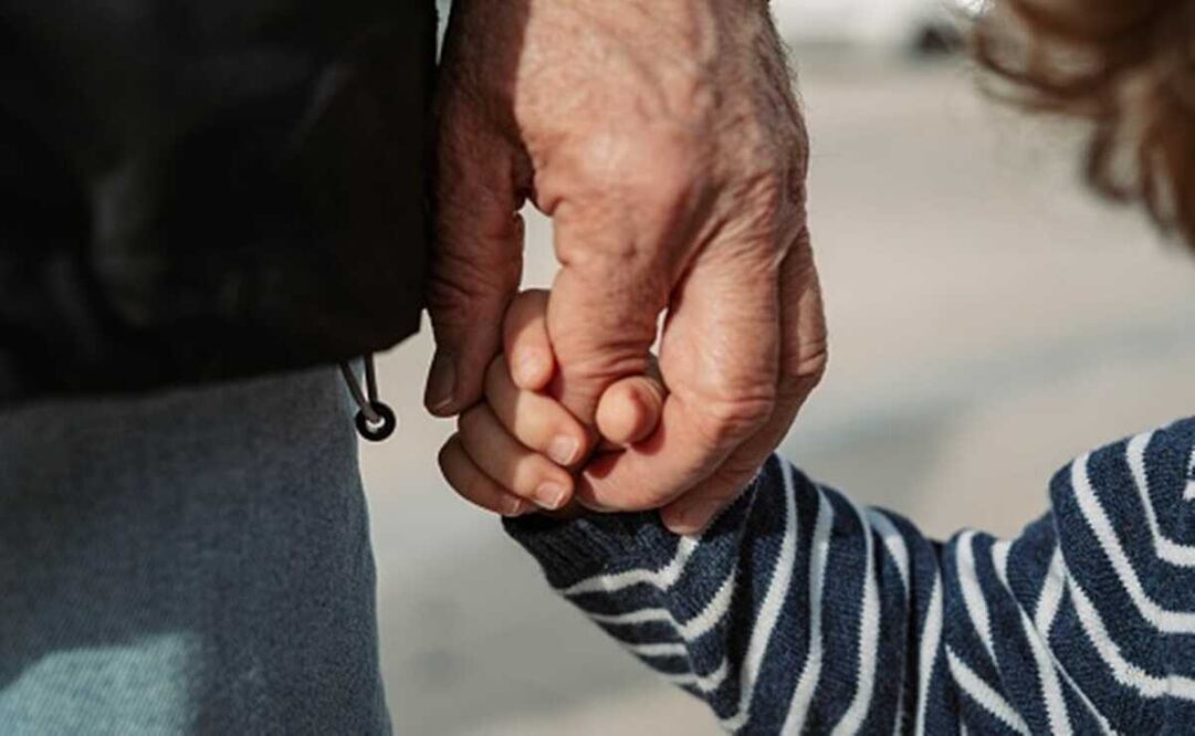 Aprueban modificaciones al Código Civil para evitar que a los abuelos les prohiban ver a sus nietos. Foto: Pixabay  