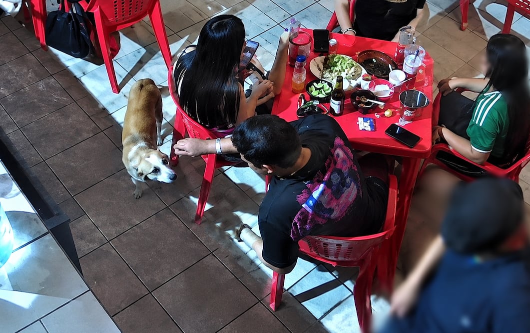 El video de la cámara de seguridad se hizo viral. Foto: Redes Sociales