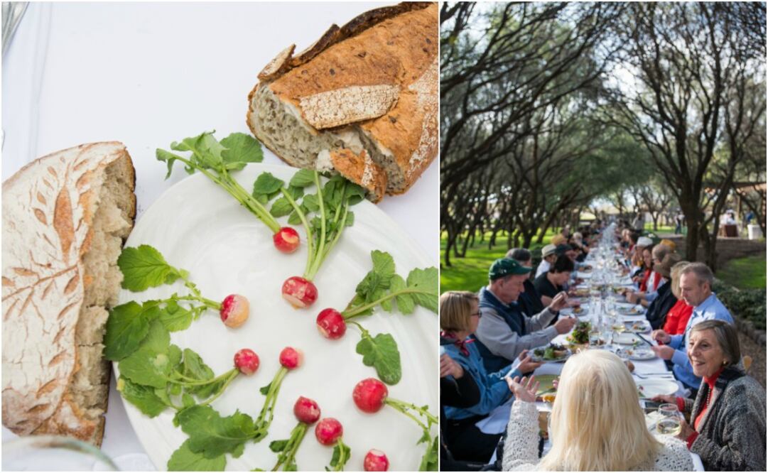 Foto: Cortesía/ Panio en la mesa de Outstanding In The Field