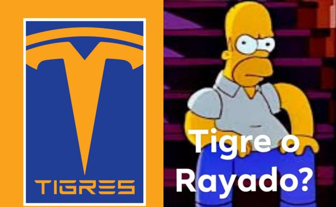 La nueva planta de Tesla Motors se instalará en Nuevo león. Foto: Captura de pantalla tomada de Twitter @psyztek @SomosAnalistas_