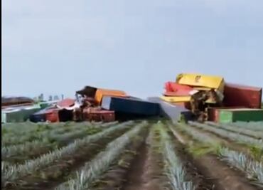 Reportan descarrilamiento de un tren de carga en La Barca, Jalisco