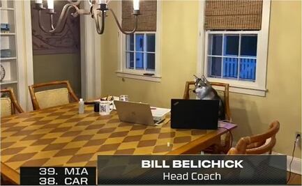 Bill Belichick, Head Coach de Patriots, deja a su perro de 'encargado' en el Draft