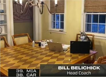 Bill Belichick, Head Coach de Patriots, deja a su perro de 'encargado' en el Draft