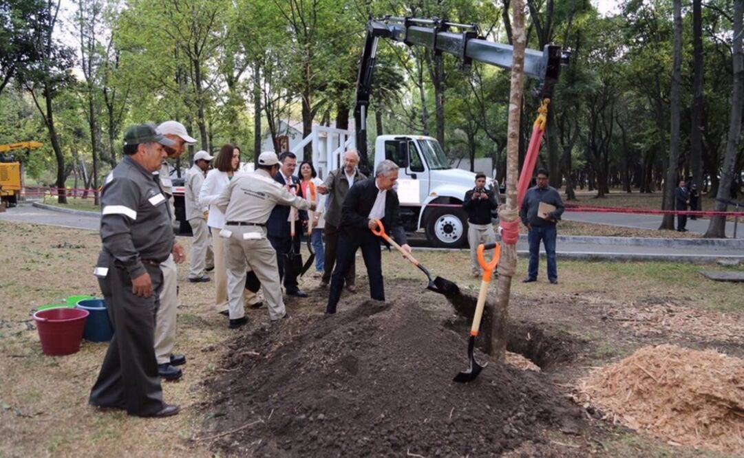 Foto: Tomada de @ManceraMiguelMX