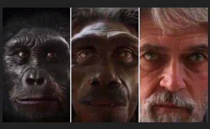 La evolución del rostro humano en un minuto