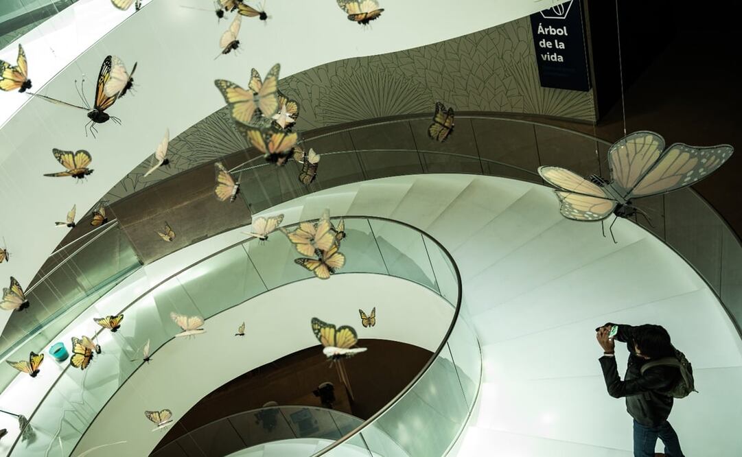 Recorrido por el Pabellón Nacional de Biodiversidad de la UNAM. Foto: German Espinosa/ El Universal