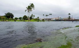 Tormenta tropical Marie se fortalece al sur de las costas de Jalisco; estos son los estados afectados