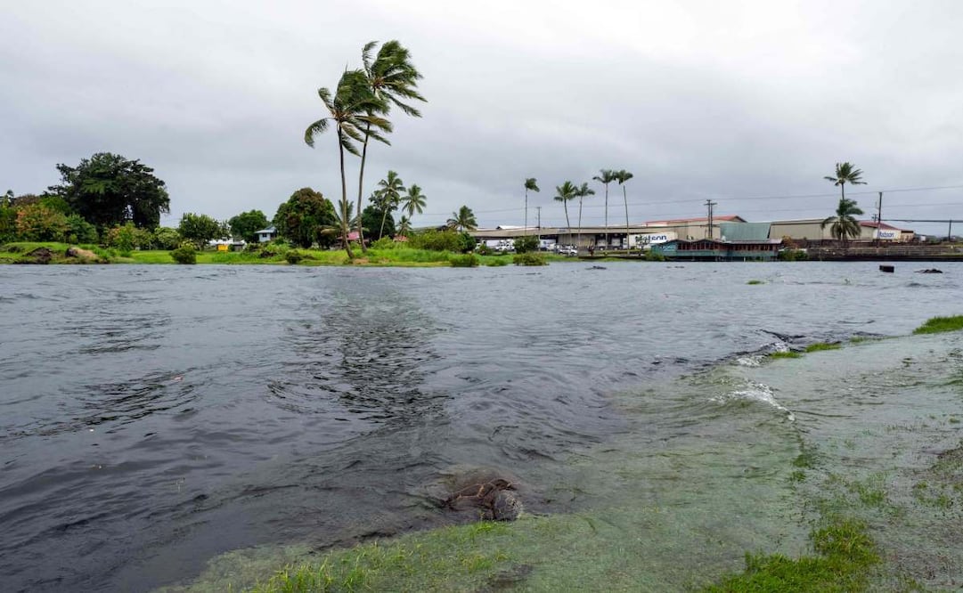 Tormenta tropical Marie se fortalece al sur de las costas de Jalisco; estos son los estados afectados
Foto: AFP