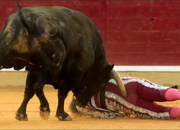 Sedado y entubado banderillero tras brutales cornadas