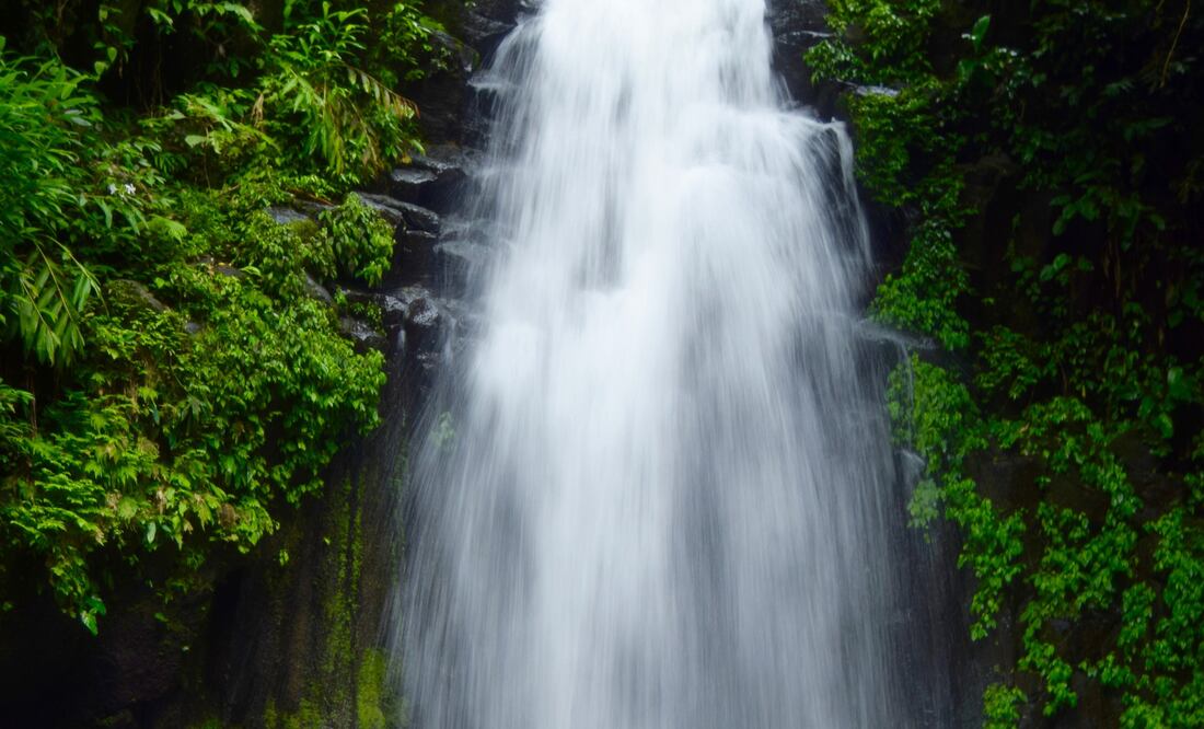 Sobre la Sierra de Santa Marta, justo arriba del lago de Catemaco encuentra cascadas con más de 20 metros de altura. (Foto: Cortesía Totonal Viajes)
