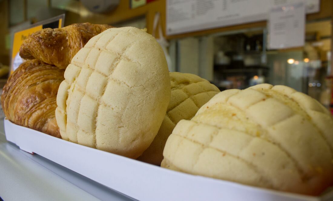 Foto: Especial El Universal