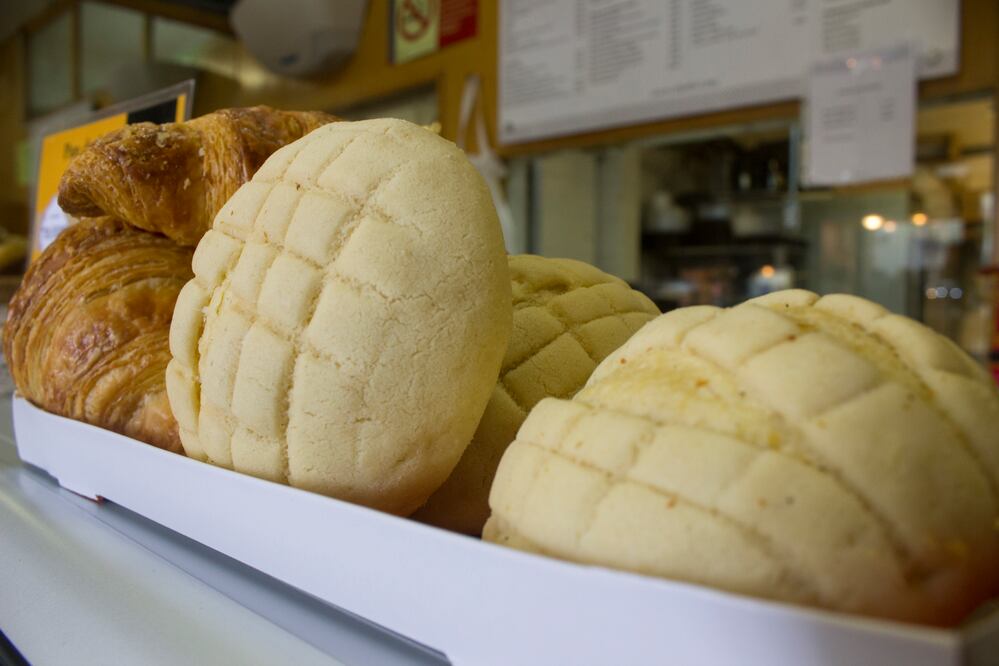 Foto: Especial El Universal