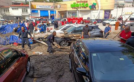 Desplome de árbol en Hacienda de Echegaray, Naucalpan deja cuatro personas lesionadas 