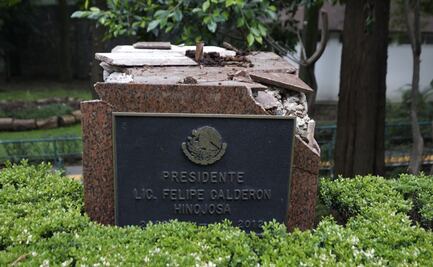 Estatua de Felipe Calderón en Los Pinos fue derribada por árbol; basamento luce con daños