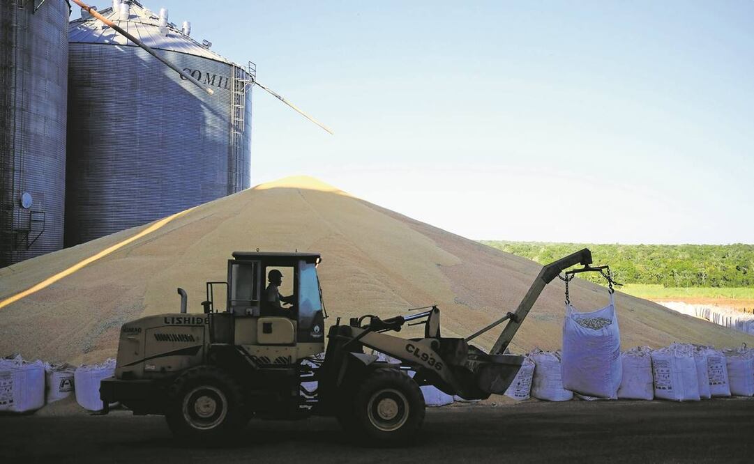México no cuenta con una bolsa agrícola, pero toma como referencia a EU. Foto: Archivo/ EL UNIVERSAL.