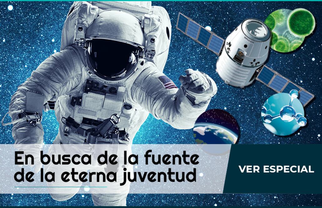 En busca de la fuente de la eterna juventud