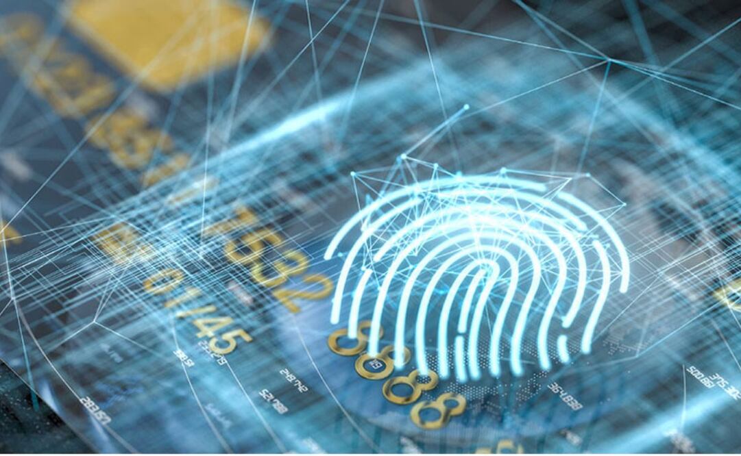 Los datos incluyen reconocimiento de cara, iris y huellas. Foto: cortesía