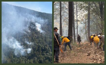 Controlan en un 95% el incendio en el Santuario de la Mariposa Monarca; contribuyen casi 250 brigadistas