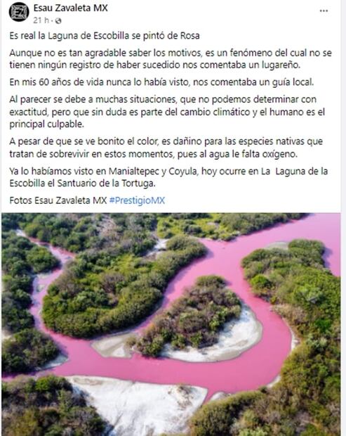 Se ve bonito pero es dañino: Se tiñen de rosa aguas de la laguna La Salina en Oaxaca