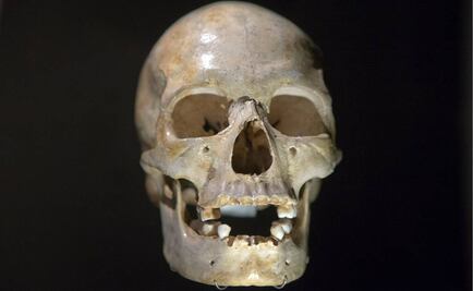 Apuntan a una evolución humana diferenciada en Eurasia