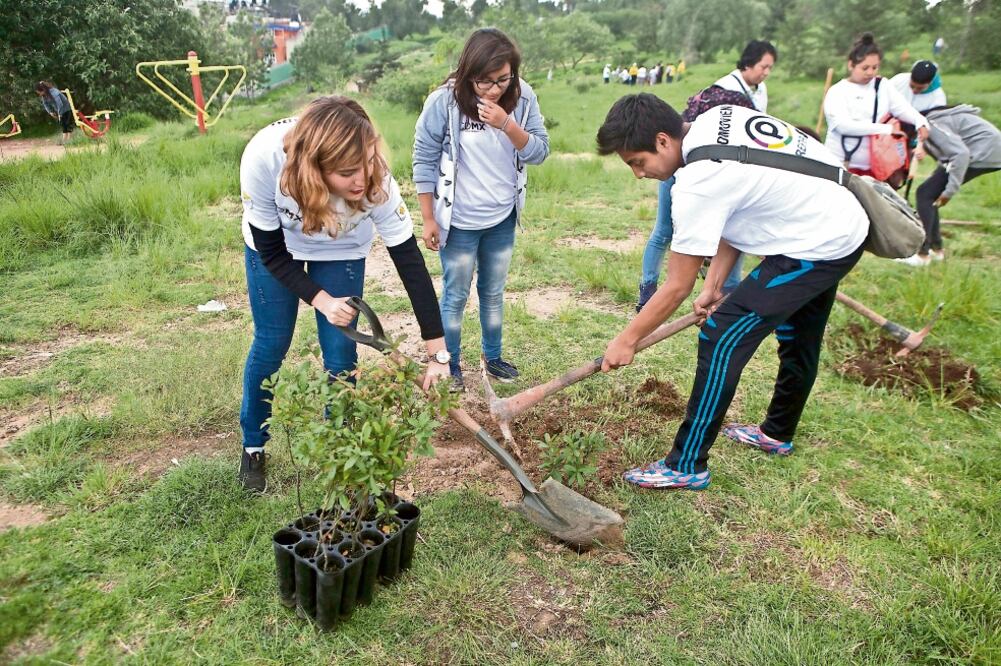 Desde las 8:00 horas de ayer, 400 jóvenes que forman parte del programa de becas Prepa sí empezaron a cavar los agujeros para colocar las plántulas (CRISTOPHER ROGEL BLANQUET. EL UNIVERSAL)