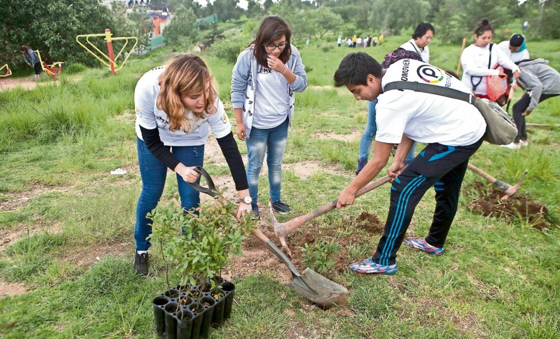 Desde las 8:00 horas de ayer, 400 jóvenes que forman parte del programa de becas Prepa sí empezaron a cavar los agujeros para colocar las plántulas (CRISTOPHER ROGEL BLANQUET. EL UNIVERSAL)
